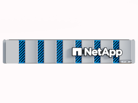  NetApp A20